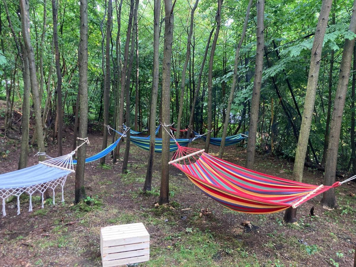 Glampspace - Szlak Beskidzki Ξενοδοχείο Międzybrodzie Bialskie Εξωτερικό φωτογραφία